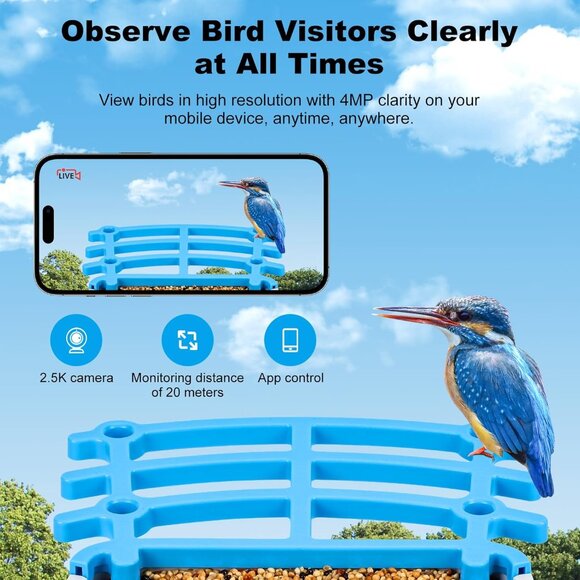 Smart Bird Feeder with Camera Solar Powered & Wireless Outdoor, HD Auto-Capture - Picture 5 of 6